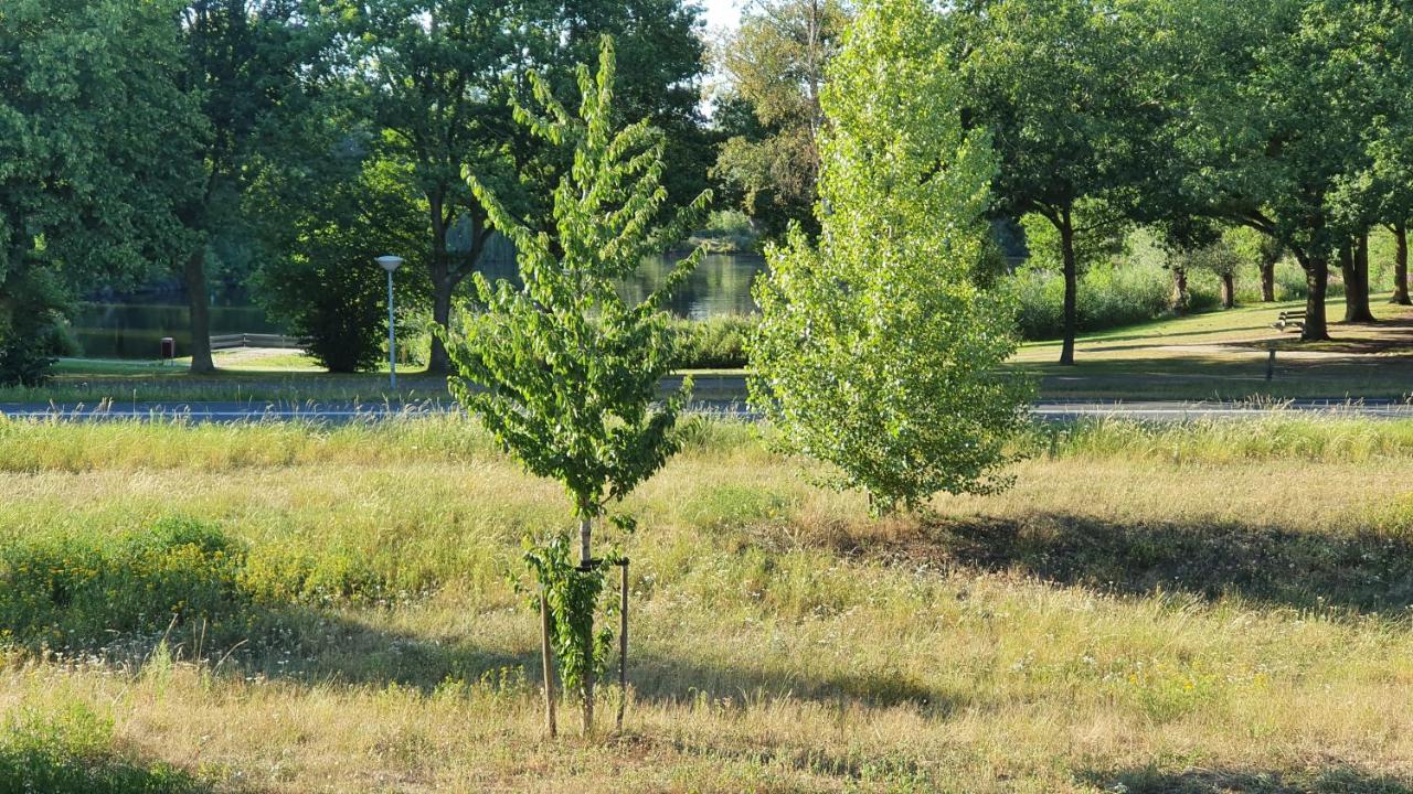 Logies Bij Wandelpad Te Holten Esterno foto